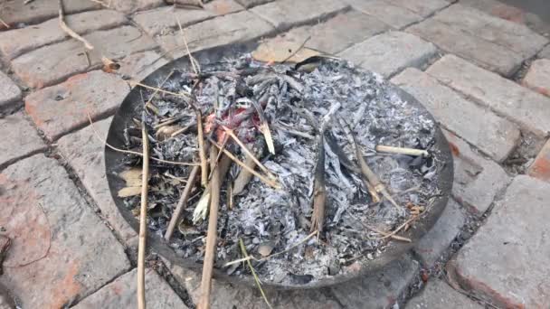 Yanan Odun Ateşi Yangın Üflenerek Alevlendiriliyor Tahta Ateş Hindistan Kırsal — Stok video