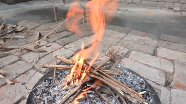 Smeltend Houtvuur Het Vuur Wordt Aangewakkerd Door Blazen Houten Vuur — Stockvideo