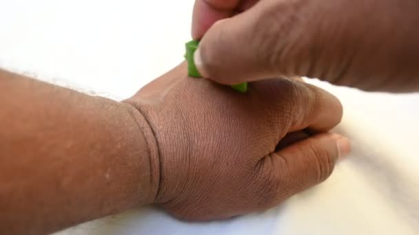 Nawilżające Ręce Aloesu Vera Naturalny Żel Aloe Vera Domowej Roboty — Wideo stockowe