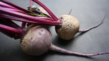 Beetrootis, şeker bitkisinin bir parçası. Diğer isimleri pancar, pancar, bahçe pancarı, kırmızı pancar, yemek pancarı ve altın pancar. Haşlanmış, kavrulmuş, çiğ, salata ve sebze yenir..