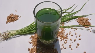 Beyaz arka planda buğday çimi suyu. Yeşil filizlenmiş buğday tanelerinin çimlerinden sağlıklı organik yeşil detoks suyu. Sağlıklı bir içki. Genç buğday ve buğday suyundan yeşil yapraklar.