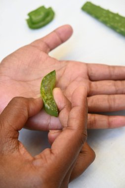 Aloe vera doğal jel ile nemlendirici eller. Aloe Vera ev yapımı yüz ve vücut fırçası tarifi. İnsan eli deriye aloe vera jeli sürer. Ayurvedic tıp.