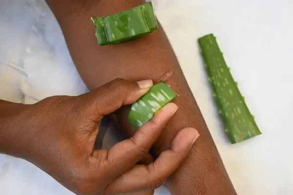 Aloe vera doğal jel ile nemlendirici eller. Aloe Vera ev yapımı yüz ve vücut fırçası tarifi. İnsan eli deriye aloe vera jeli sürer. Ayurvedic tıp.