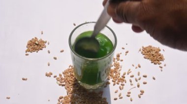 Beyaz arka planda buğday çimi suyu. Yeşil filizlenmiş buğday tanelerinin çimlerinden sağlıklı organik yeşil detoks suyu. Sağlıklı bir içki. Genç buğday ve buğday suyundan yeşil yapraklar.