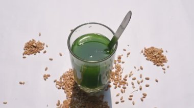Beyaz arka planda buğday çimi suyu. Yeşil filizlenmiş buğday tanelerinin çimlerinden sağlıklı organik yeşil detoks suyu. Sağlıklı bir içki. Genç buğday ve buğday suyundan yeşil yapraklar. Yavaş çekim videosu. 