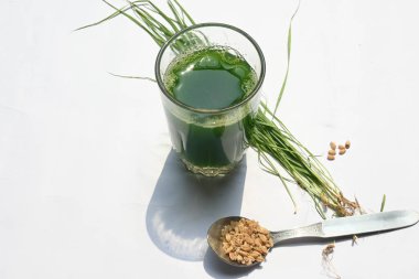 Beyaz arka planda buğday çimi suyu. Yeşil filizlenmiş buğday tanelerinin çimlerinden sağlıklı organik yeşil detoks suyu. Sağlıklı bir içki. Genç buğday ve buğday suyundan yeşil yapraklar.