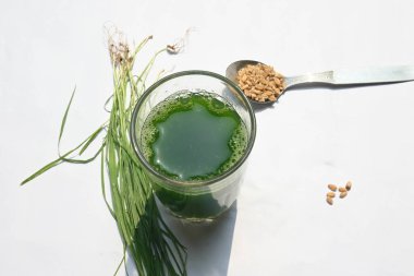 Beyaz arka planda buğday çimi suyu. Yeşil filizlenmiş buğday tanelerinin çimlerinden sağlıklı organik yeşil detoks suyu. Sağlıklı bir içki. Genç buğday ve buğday suyundan yeşil yapraklar.