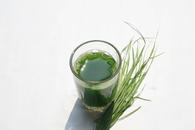 Beyaz arka planda buğday çimi suyu. Yeşil filizlenmiş buğday tanelerinin çimlerinden sağlıklı organik yeşil detoks suyu. Sağlıklı bir içki. Genç buğday ve buğday suyundan yeşil yapraklar.