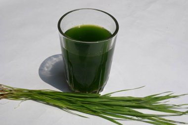 Beyaz arka planda buğday çimi suyu. Yeşil filizlenmiş buğday tanelerinin çimlerinden sağlıklı organik yeşil detoks suyu. Sağlıklı bir içki. Genç buğday ve buğday suyundan yeşil yapraklar.