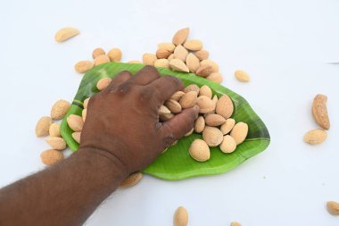 Kabuklu badem. Diğer adı Prunus amygdalus ve Prunus dulcis. Badem aynı zamanda bu ağacın yenilebilir ve yaygın olarak ekilen tohumunun adıdır. Hint bademi.