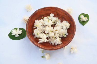 Jasminum sambac çiçeği. Çiçek parfümler ve yasemin çayları için hoş kokulu bir malzeme olarak kullanılabilir. Hindistan 'da Mogra çiçeği ve beli çiçeği olarak bilinir. Diğer adı Arap yasemini ve Sambac yaseminidir..