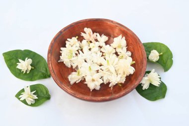 Jasminum sambac çiçeği. Çiçek parfümler ve yasemin çayları için hoş kokulu bir malzeme olarak kullanılabilir. Hindistan 'da Mogra çiçeği ve beli çiçeği olarak bilinir. Diğer adı Arap yasemini ve Sambac yaseminidir..