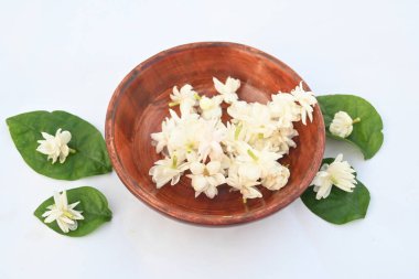 Jasminum sambac flower. The flower may be used as a fragrant ingredient inperfumesandjasmine tea. In India known asMogra flower and beli flower. Its other names Arabian jasmine and Sambac jasmine.