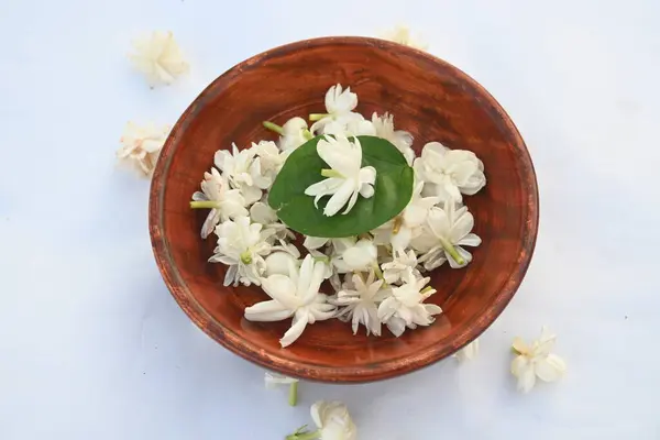 stock image Jasminum sambac flower. The flower may be used as a fragrant ingredient inperfumesandjasmine tea. In India known asMogra flower and beli flower. Its other names Arabian jasmine and Sambac jasmine.