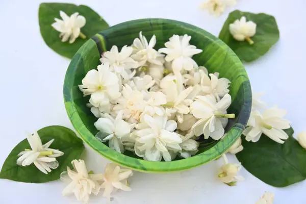 Jasminum sambac flower. The flower may be used as a fragrant ingredient inperfumesandjasmine tea. In India known asMogra flower and beli flower. Its other names Arabian jasmine and Sambac jasmine.