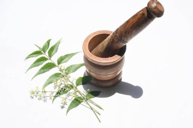 Neem yaprakları için bitkisel ilaç yapıyorum. Diğer adı Azadirachta indica, nimtree ve Hint leylağı. Meyveleri ve tohumları neem yağının kaynağıdır. Birçok tahrik edici ilaç yapraklarından yapılır.. 