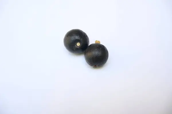 Alangium salvifolium veya adaçayı alangium ağacı meyvesi bırakır. Cornaceaefamily 'de çiçek açan bir bitkidir. Beyaz arka planda yabani meyve. 