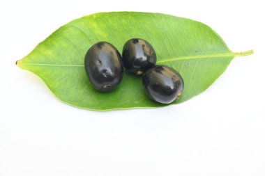 Syzygium cumini meyveleri. Myrtaceae ailesinin çiçek açan bitkisi. Diğer adı Malabar eriği, Java eriği, siyah erik, jamun ve jambolan. Bu meyvenin diyabetik özellikleri var. Hint jamunu..