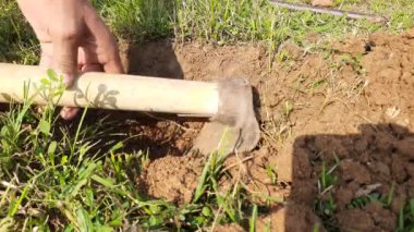 Ağaç dikmek için çukur kazıyorum. Bahçıvan elinden ağaç dikmek için derin bir çukur kazıyor. Demir bir aletle çukur kazan bir işçi. Bahçe ve tarım kavramı.