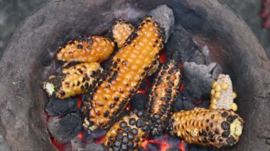 Kömür ocağında kızartılan mısır koçanları. Kömür ateşinde kavrulmuş mısır koçanları. Yanmış altın rengi mısır koçanı duman ve alevle ızgara olur. Sıcak sobada kızartılmış taze tatlı mısır.. 