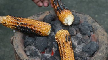 Kömür ocağında kızartılan mısır koçanları. Kömür ateşinde kavrulmuş mısır koçanları. Yanmış altın rengi mısır koçanı duman ve alevle ızgara olur. Sıcak sobada kızartılmış taze tatlı mısır.. 