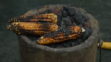 Kömür ocağında kızartılan mısır koçanları. Kömür ateşinde kavrulmuş mısır koçanları. Yanmış altın rengi mısır koçanı duman ve alevle ızgara olur. Sıcak sobada kızartılmış. Yavaş çekim videosu. 