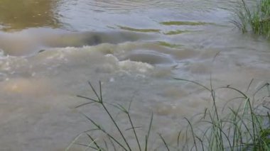Taşların ve kayaların arasından akan nehir suyu. Dağ nehri yeşil ormandan akar. Dağdan akan vahşi nehir.