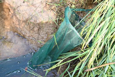 Ağlarla balık tutmak. Balıklar pirinç tarlasının kenarından akan suya ağlar atarken yakalanırlar. Bu, Hindistan 'da geleneksel bir balık tutma yöntemidir. Bu çok kolay bir balık tutma yöntemidir..