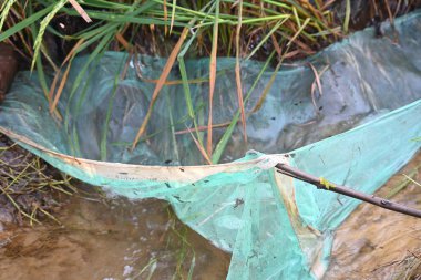 Ağlarla balık tutmak. Balıklar pirinç tarlasının kenarından akan suya ağlar atarken yakalanırlar. Bu, Hindistan 'da geleneksel bir balık tutma yöntemidir. Bu çok kolay bir balık tutma yöntemidir..