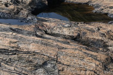 Su kayanın yüzeyinde toplandı. Kaya kahverengi ve pürüzsüz. Tepe bölgelerinde, muson mevsiminde, yağmur suyu bu kayalıklarda toplanır. Kayanın tepesindeki küçük su birikintisi.