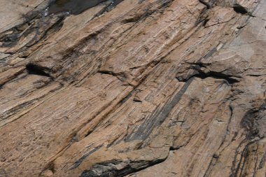 Su kayanın yüzeyinde toplandı. Kaya kahverengi ve pürüzsüz. Tepe bölgelerinde, muson mevsiminde, yağmur suyu bu kayalıklarda toplanır. Kayanın tepesindeki küçük su birikintisi.