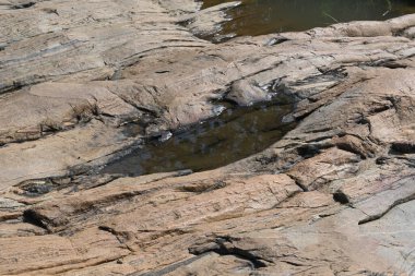 Su kayanın yüzeyinde toplandı. Kaya kahverengi ve pürüzsüz. Tepe bölgelerinde, muson mevsiminde, yağmur suyu bu kayalıklarda toplanır. Kayanın tepesindeki küçük su birikintisi.