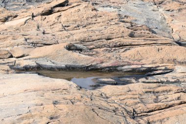Su kayanın yüzeyinde toplandı. Kaya kahverengi ve pürüzsüz. Tepe bölgelerinde, muson mevsiminde, yağmur suyu bu kayalıklarda toplanır. Kayanın tepesindeki küçük su birikintisi.