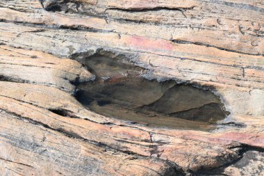 Su kayanın yüzeyinde toplandı. Kaya kahverengi ve pürüzsüz. Tepe bölgelerinde, muson mevsiminde, yağmur suyu bu kayalıklarda toplanır. Kayanın tepesindeki küçük su birikintisi.