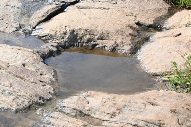 Su kayanın yüzeyinde toplandı. Kaya kahverengi ve pürüzsüz. Tepe bölgelerinde, muson mevsiminde, yağmur suyu bu kayalıklarda toplanır. Kayanın tepesindeki küçük su birikintisi.