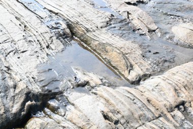 Su kayanın yüzeyinde toplandı. Kaya kahverengi ve pürüzsüz. Tepe bölgelerinde, muson mevsiminde, yağmur suyu bu kayalıklarda toplanır. Kayanın tepesindeki küçük su birikintisi.