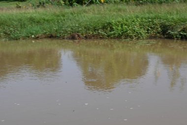 Taşların ve kayaların arasından akan nehir suyu. Dağ nehri yeşil ormandan akar. Dağdan akan vahşi nehir.