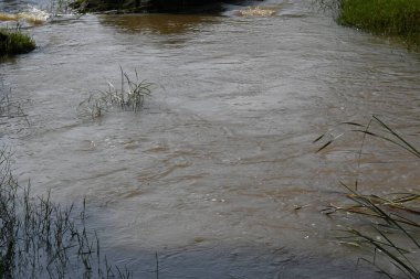 Taşların ve kayaların arasından akan nehir suyu. Dağ nehri yeşil ormandan akar. Dağdan akan vahşi nehir.