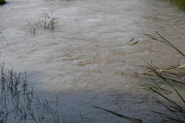 Taşların ve kayaların arasından akan nehir suyu. Dağ nehri yeşil ormandan akar. Dağdan akan vahşi nehir.