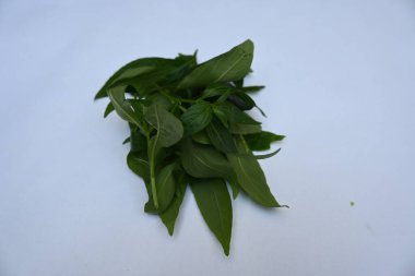 Andrographis panikliyor. Diğer adı Yeşil Chireta. Geleneksel olarak enfeksiyonları ve bazı hastalıkları tedavi etmek için kullanılır. Çoğunlukla tıbbi amaçlar için kullanılan yapraklar..