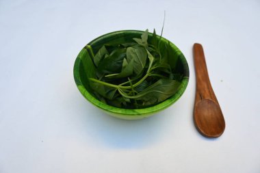 Andrographis panikliyor. Diğer adı Yeşil Chireta. Geleneksel olarak enfeksiyonları ve bazı hastalıkları tedavi etmek için kullanılır. Çoğunlukla tıbbi amaçlar için kullanılan yapraklar..