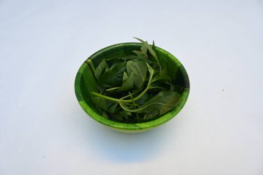 Andrographis panikliyor. Diğer adı Yeşil Chireta. Geleneksel olarak enfeksiyonları ve bazı hastalıkları tedavi etmek için kullanılır. Çoğunlukla tıbbi amaçlar için kullanılan yapraklar..