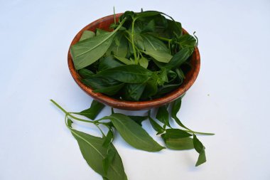 Andrographis panikleyerek tahta kasede yapraklar bırakır. Diğer adı Yeşil Chireta. Geleneksel olarak enfeksiyonları ve bazı hastalıkları tedavi etmek için kullanılır. Çoğunlukla tıbbi amaçlar için kullanılır..