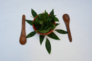 Andrographis panikleyerek tahta kasede yapraklar bırakır. Diğer adı Yeşil Chireta. Geleneksel olarak enfeksiyonları ve bazı hastalıkları tedavi etmek için kullanılır. Çoğunlukla tıbbi amaçlar için kullanılır..