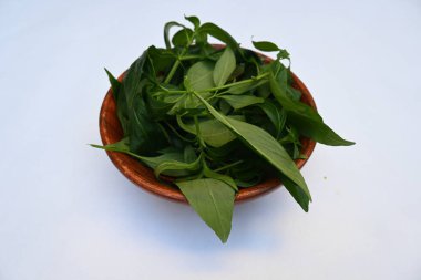 Andrographis panikleyerek tahta kasede yapraklar bırakır. Diğer adı Yeşil Chireta. Geleneksel olarak enfeksiyonları ve bazı hastalıkları tedavi etmek için kullanılır. Çoğunlukla tıbbi amaçlar için kullanılır..