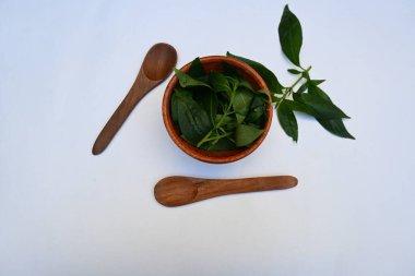 Andrographis panikleyerek tahta kasede yapraklar bırakır. Diğer adı Yeşil Chireta. Geleneksel olarak enfeksiyonları ve bazı hastalıkları tedavi etmek için kullanılır. Çoğunlukla tıbbi amaçlar için kullanılır..