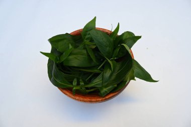 Andrographis panikleyerek tahta kasede yapraklar bırakır. Diğer adı Yeşil Chireta. Geleneksel olarak enfeksiyonları ve bazı hastalıkları tedavi etmek için kullanılır. Çoğunlukla tıbbi amaçlar için kullanılır..