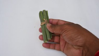 Moringa oleifera ya da beyaz arka planda baget kapsülleri. Bu bir Moringaceae aile ağacı. Diğer adları Moringa, yabanturpu, ve Ben yağı ve benzolive. Popüler bir sebzedir. Yavaş çekim videosu. 