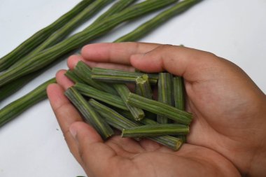 Moringa oleifera ya da beyaz arka planda baget kapsülleri. Bu bir Moringaceae aile ağacı. Diğer adları Moringa, yabanturpu, ve Ben yağı ve benzolive. Popüler bir sebzedir..