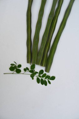 Moringa oleifera ya da beyaz arka planda baget kapsülleri. Bu bir Moringaceae aile ağacı. Diğer adları Moringa, yabanturpu, ve Ben yağı ve benzolive. Popüler bir sebzedir..